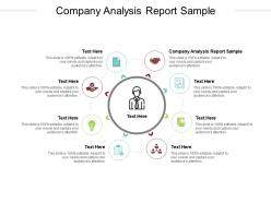 Company analysis report sample ppt powerpoint presentation gallery infographics cpb