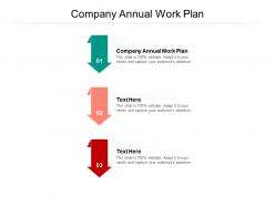 Company annual work plan ppt powerpoint presentation infographics infographic template cpb