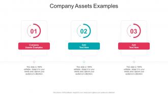 Company Assets Examples In Powerpoint And Google Slides Cpb