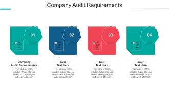 Company Audit Requirements Ppt Powerpoint Presentation Slides Display Cpb