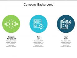 Company background ppt powerpoint presentation file design ideas cpb