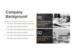 Company background sample of ppt presentation