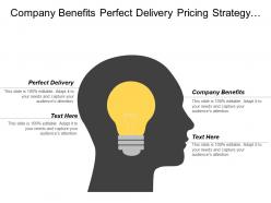 Company benefits perfect delivery pricing strategy target audience