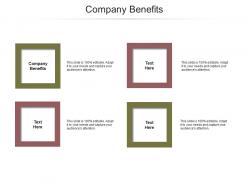 Company benefits ppt powerpoint presentation gallery objects cpb