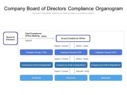 Company board of directors compliance organogram