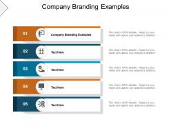 Company branding examples ppt powerpoint presentation model visuals cpb