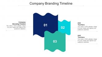 Company Branding Timeline Ppt Powerpoint Presentation Summary Pictures Cpb
