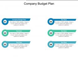 Company budget plan ppt powerpoint presentation summary structure cpb