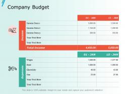 Company budget ppt slides portfolio