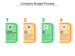 Company budget process ppt powerpoint presentation file pictures cpb