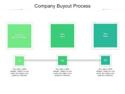 Company buyout process ppt powerpoint presentation professional ideas cpb