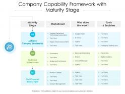 Company capability framework with maturity stage