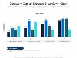 Company capital expense breakdown chart