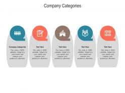 Company categories ppt powerpoint presentation gallery structure cpb