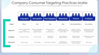 Company Consumer Targeting Practices Matrix