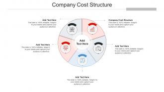Company Cost Structure Ppt Powerpoint Presentation Gallery Graphics Cpb