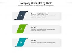 Company credit rating scale ppt powerpoint presentation professional example introduction cpb