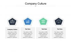 Company culture ppt powerpoint presentation ideas graphics design cpb
