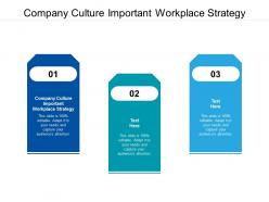 Company culture vital workplace strategy ppt powerpoint presentation icon professional cpb