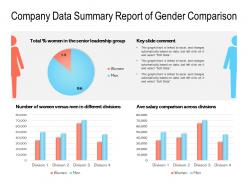 Company data summary report of gender comparison