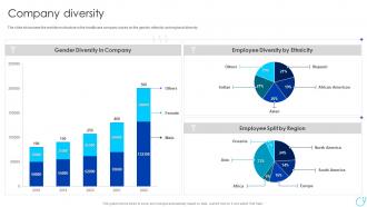 Company Diversity Healthcare Company Profile Ppt Powerpoint Presentation File Icon