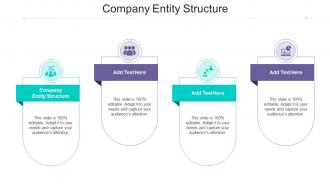 Company Entity Structure Ppt Powerpoint Presentation Inspiration Sample Cpb