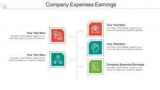 Company Expenses Earnings Ppt Powerpoint Presentation Outline Shapes Cpb