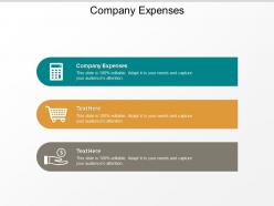 Company expenses ppt powerpoint presentation gallery design ideas cpb
