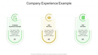 Company Experience Example In Powerpoint And Google Slides Cpb