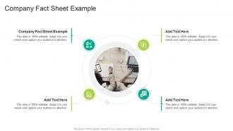 Company Fact Sheet Example In Powerpoint And Google Slides Cpb