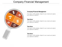 Company financial management ppt powerpoint presentation file background cpb