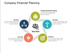 Company financial planning ppt powerpoint presentation show diagrams cpb