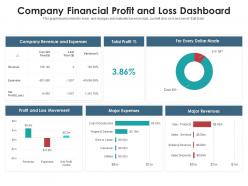 Company financial profit and loss dashboard