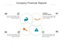 Company financial reports ppt powerpoint presentation infographic template microsoft cpb