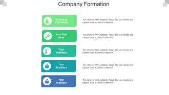 Company formation ppt powerpoint presentation file ideas cpb