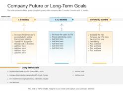 Company future or long term goals raise funding bridge financing investment ppt infographics