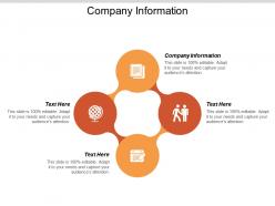 Company information ppt powerpoint presentation portfolio pictures cpb