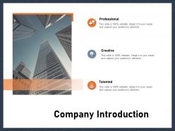 Company introduction audiences attention ppt powerpoint presentation layouts diagrams