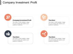 Company investment profit ppt powerpoint presentation pictures graphics design cpb
