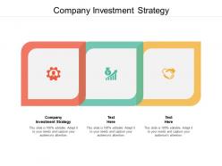 Company investment strategy ppt powerpoint presentation model outline cpb