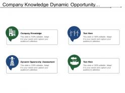 Company knowledge dynamic opportunity assessment develop strategy measure performance