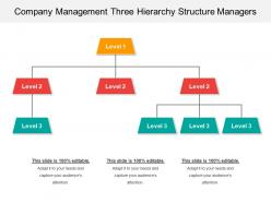 Company Management Three Hierarchy Structure Managers