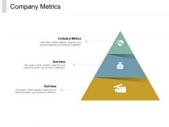 Company metrics ppt powerpoint presentation pictures background designs cpb