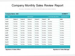 Company monthly sales review report