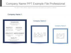 Company name ppt example file professional