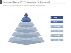 Company name ppt examples professional