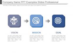 Company name ppt examples slides professional