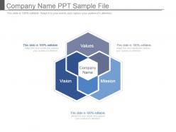 Company name ppt sample file