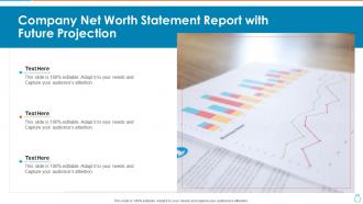 Company net worth statement report with future projection