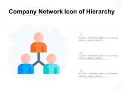 Company network icon of hierarchy